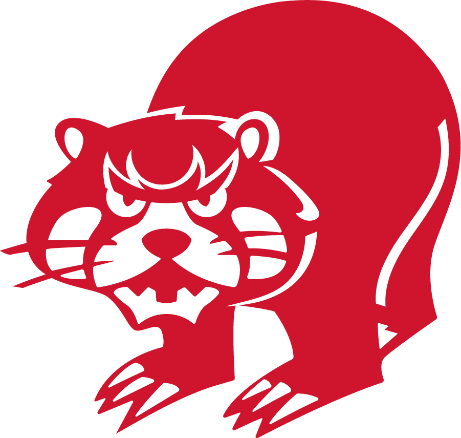 Cincinnati Bearcats 1973-1976 Secondary Logo t shirts iron on transfers